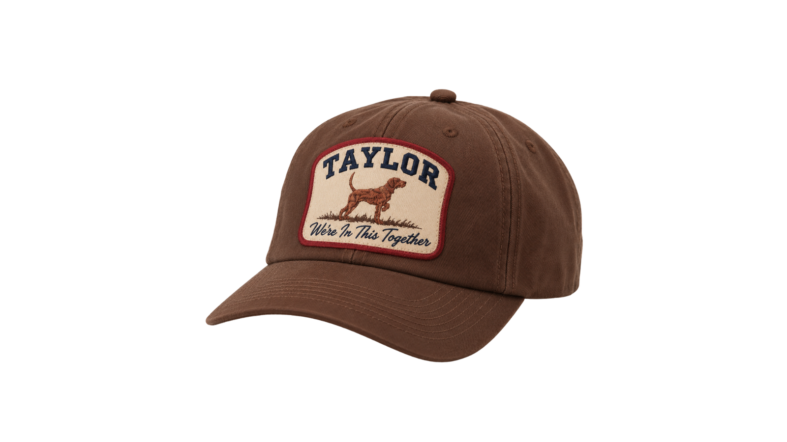Team Taylor campaign hat